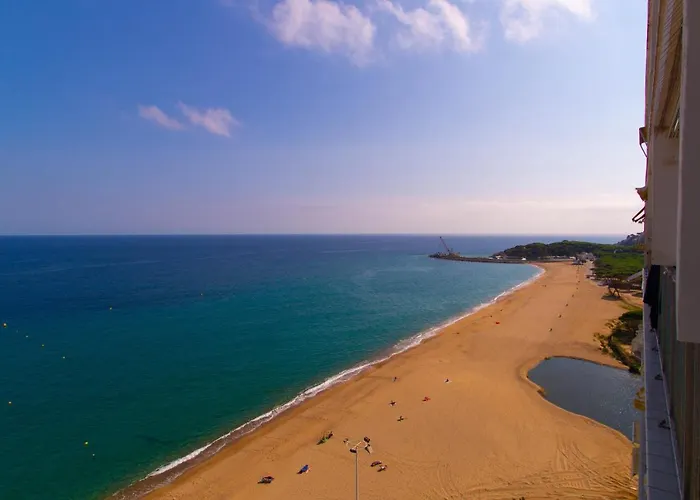 Daire Coconut Boutique *