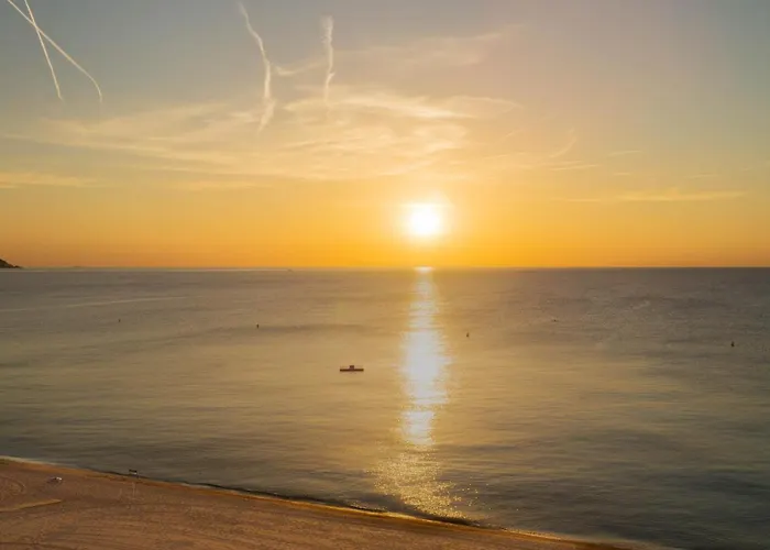 Daire Coconut Boutique